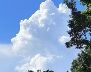 保定天气预报,保定7天天气预报,保定15天天气预报,保定天气查询